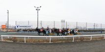 北海道の馬文化